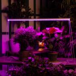 Светодиодный светильник для растений 1150мм 35Вт (фиолетовый спектр)