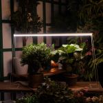 Светодиодный светильник для растений 1150мм 35Вт (кремовый спектр)