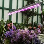 Светодиодный светильник для растений 560мм 10Вт (фиолетовое спектр)